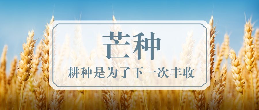 芒種時(shí)節(jié) | 耕種是為了下一次豐收
